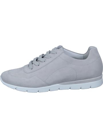 Semler Schnürschuhe in perle