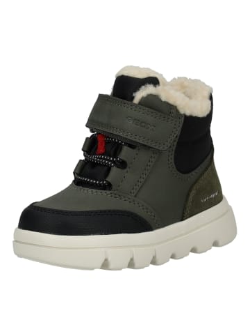 Geox Stiefelette in Schwarz/Grün