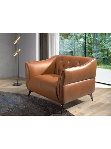 Angel Cerdá Chester-Sessel 5098 in Braun / Stahl – (B)103 x (H)95 x (T)77 cm