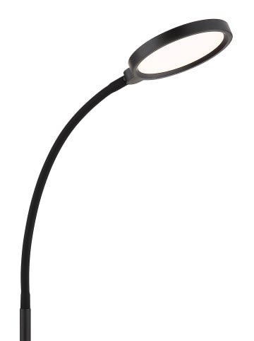 Globo lighting Stehleuchte "KALDERON" in black