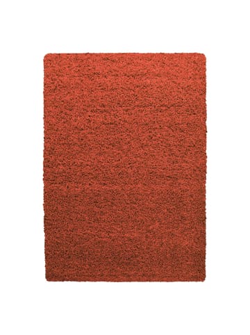 Hochflor Teppich Lux in Terrakotta