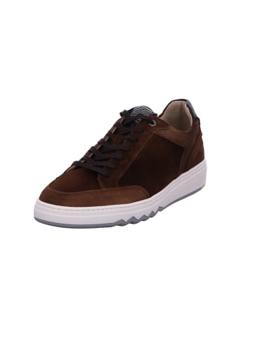 Floris van Bommel Schnürschuh in braun