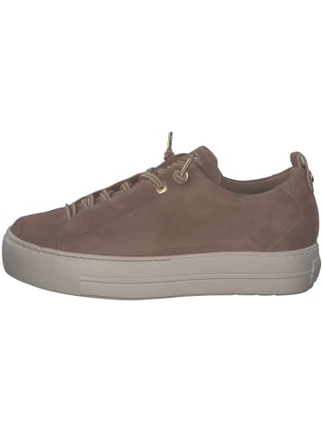Paul Green Sneakers Low in NUT