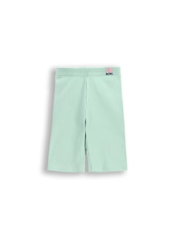 Coccodrillo Gerippte Shorts in in Minzfarbe