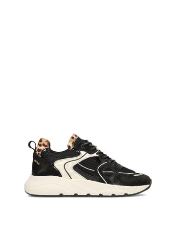 POELMAN Poelman CIBEL Damen Sneaker