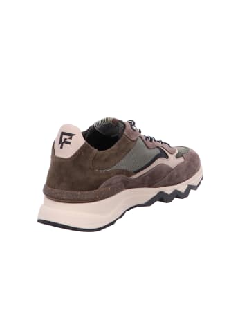 Floris van Bommel Schnürschuh in grün