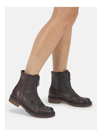 Felmini Stiefelette CASTER Dunkelbraun