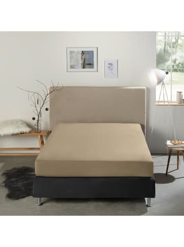REDBEST Single-Jersey Boxspring-Spannbettlaken Denver in taupe