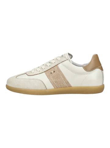 Nero Giardini Sneaker in Beige