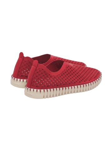 Ilse Jacobsen Sneaker Low TULIP3275 in deep red