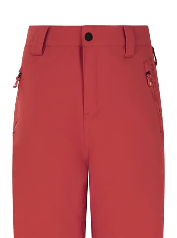 Protest " PRTSTERIO JR in Barn Red