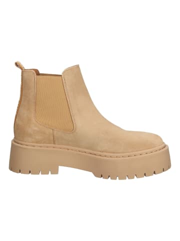 Steve Madden Stiefelette in Camel