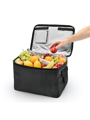 EASYmaxx Kühltasche faltbar 30l schwarz/dunkelgrau  Schwarz