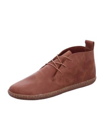 Esgano Damenschnürrstiefel kalt flach Da.-Sneaker in  Braun