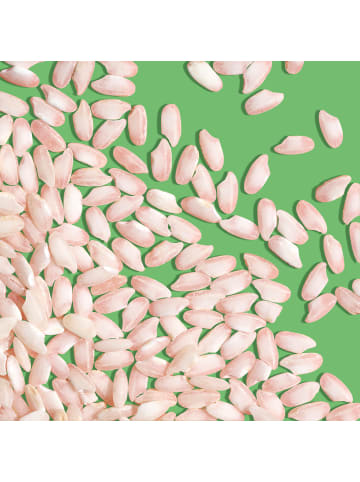 Reishunger 3er Vorteilspaket - Risotto Reis, Carnaroli, Bio (3x600g)