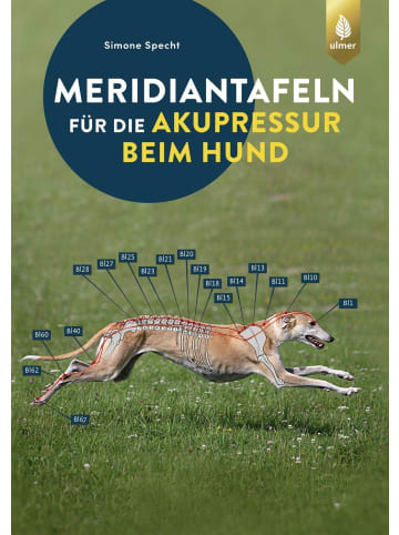 Ulmer Meridiantafeln für die Akupressur beim Hund