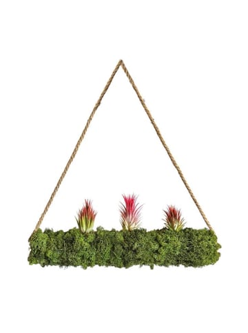 MeinVIPShop Hanging Garden mit Tillandsien rosa "handmade"