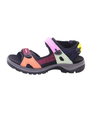 Ecco Outdoor Sandalen für Damen in bunt