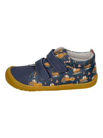 KOEL Sneaker Low DANNY PRINT  in bunt