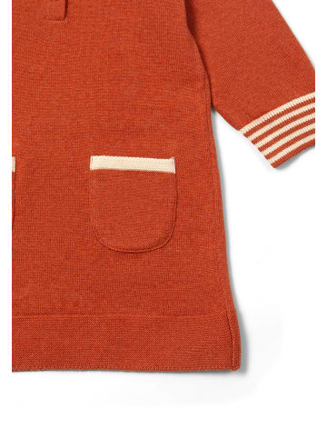 Little Green Radicals Bio-Strickkleid mit Kragen in Orange