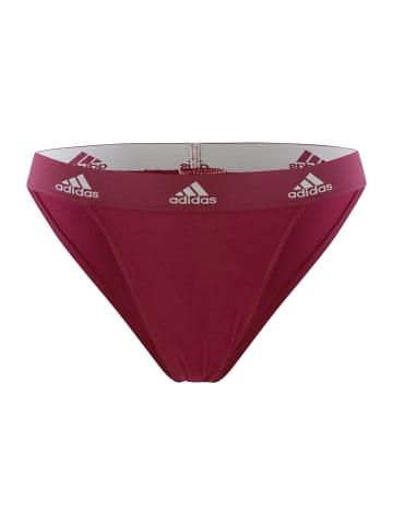 adidas Tanga Realasting Cotton in Bordeaux