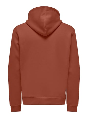 ONLY & SONS Kapuzenpullover in Sequoia
