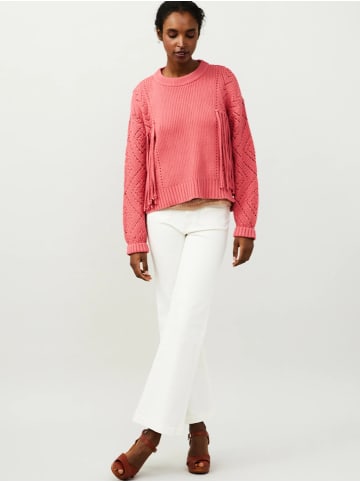 Odd Molly Sweater Aurora in BLUSH PINK