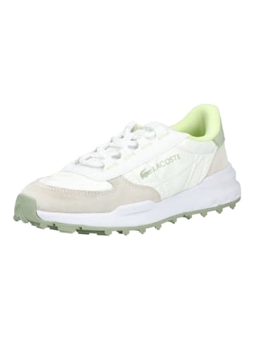 Lacoste Sneaker in Weiß/Grün