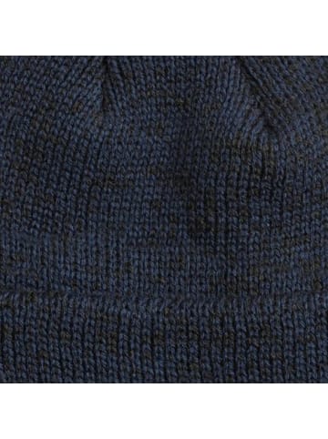 Reell Mütze "Polar Beanie" in Blau