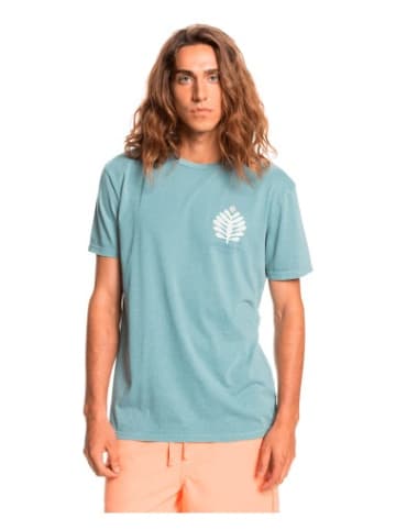 Quicksilver Tshirt in Blau