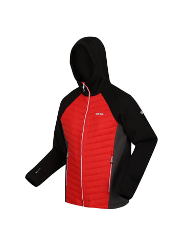 Regatta Softshelljacke Hybrid Andreson VII in schwarz-rot