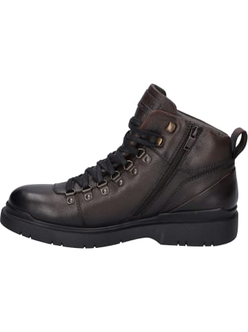 Josef Seibel Stiefelette Dalton 50 in mocca