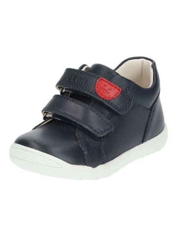 Geox Halbschuhe in Navy