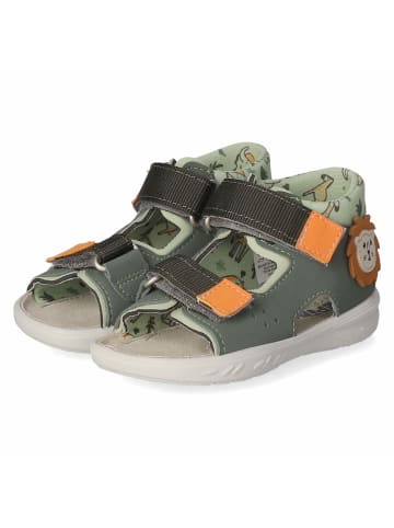 PEPINO Minilette in grün