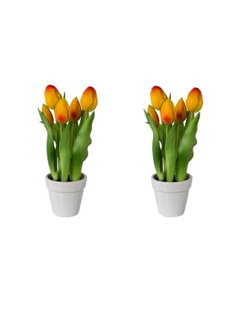 Creativ green 2er Set: Deko-Tulpen im Keramiktopf in orange