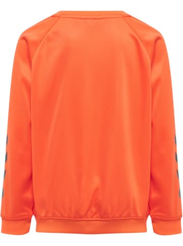 Hummel Hummel Sweatshirt Hmlpromo Multisport Kinder in NASTURTIUM **DO NOT USE