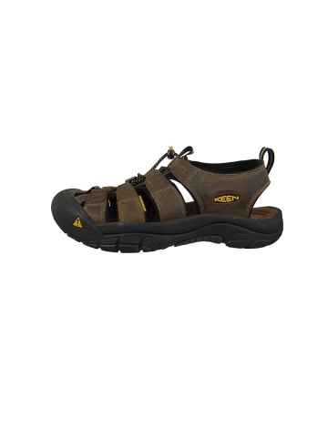 Keen Sandalen Newport braun