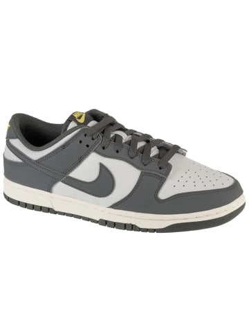Nike Nike Dunk Low NN in Grau