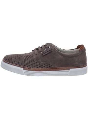 Pius Gabor Sneaker in braun