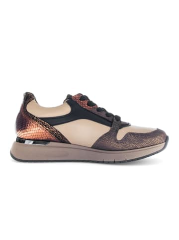 Gabor Sneaker low in multicolour