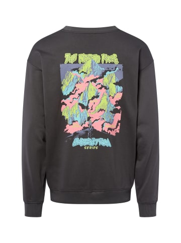 The North Face Sweatshirt in anthrazit