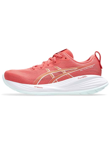 asics Laufschuhe GEL-CUMULUS 27 in dark pink clay/cream