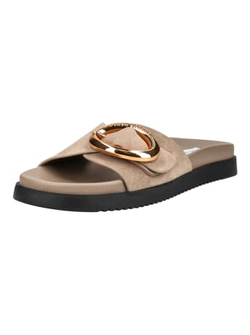 Steve Madden Pantoletten MISTIFY MISTIFY in Taupe