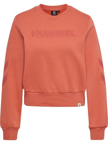 Hummel Hummel Sweatshirt Hmllegacy Damen in APRICOT BRANDY