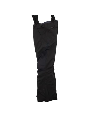 Jack Wolfskin Skihose Icy Storm Pants in Grau
