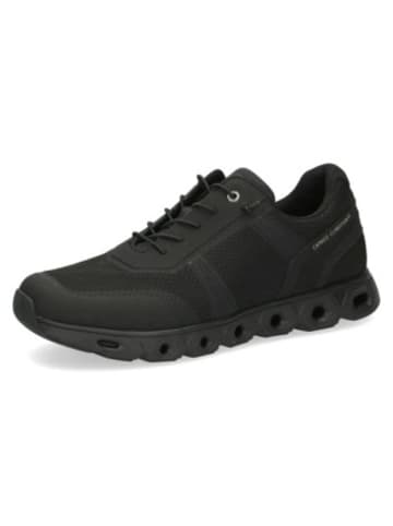 Caprice Sneaker für Herren in schwarz in schwarz