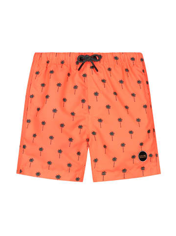 SHIWI Shiwi Swimshort Palm in orange