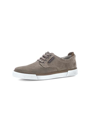 Pius Gabor Sneaker low in beige
