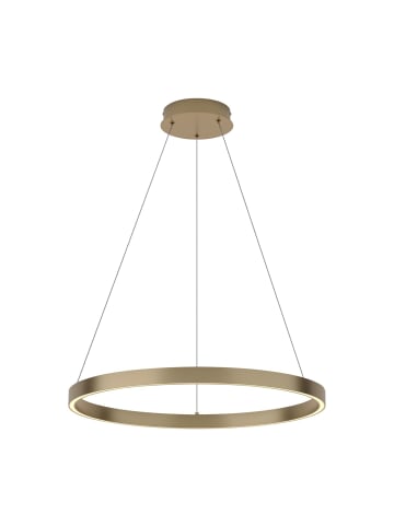 Licht-Erlebnisse Kronleuchter EEK G Ø 60 x (T)20 cm in Messing