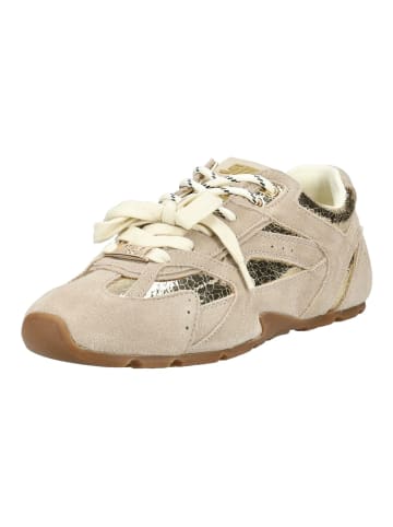 Steve Madden Sneaker in Gold/Beige
